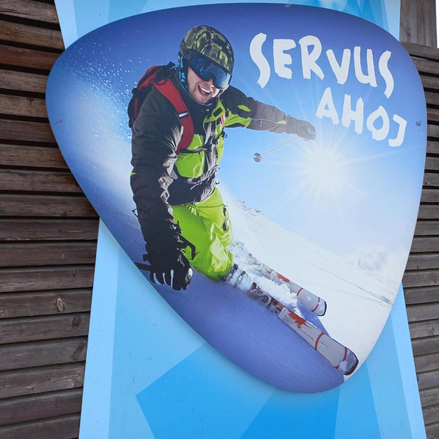 Apartman Mitterdorf Almberg 7 Mitterfirmiansreut Luaran gambar